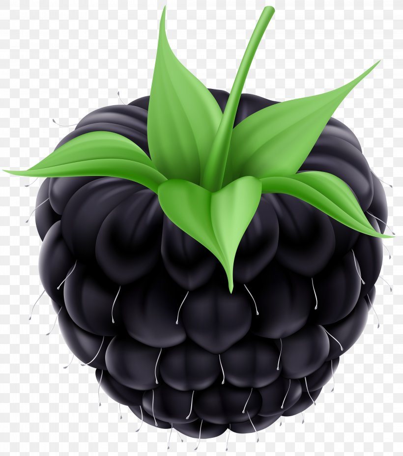 BlackBerry Fruit Clip Art, PNG, Blackberry, Berry 