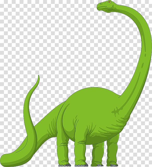 Brachiosaurus Diplodocus Megalosaurus Apatosaurus Dinosaur 
