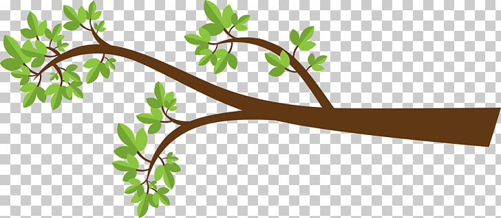 Branch Tree Drawing , Owl Water s PNG clipart | free cliparts 
