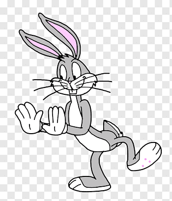 Wideo Wabbit PNG cliparts | PNGWave
