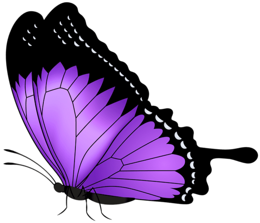 Free Purple Butterfly Cliparts, Download Free Purple Butterfly Cliparts