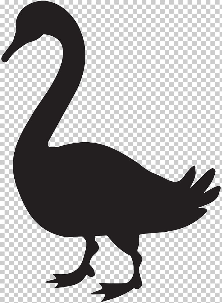Canada Goose Silhouette , Easter Goose s PNG clipart | free 