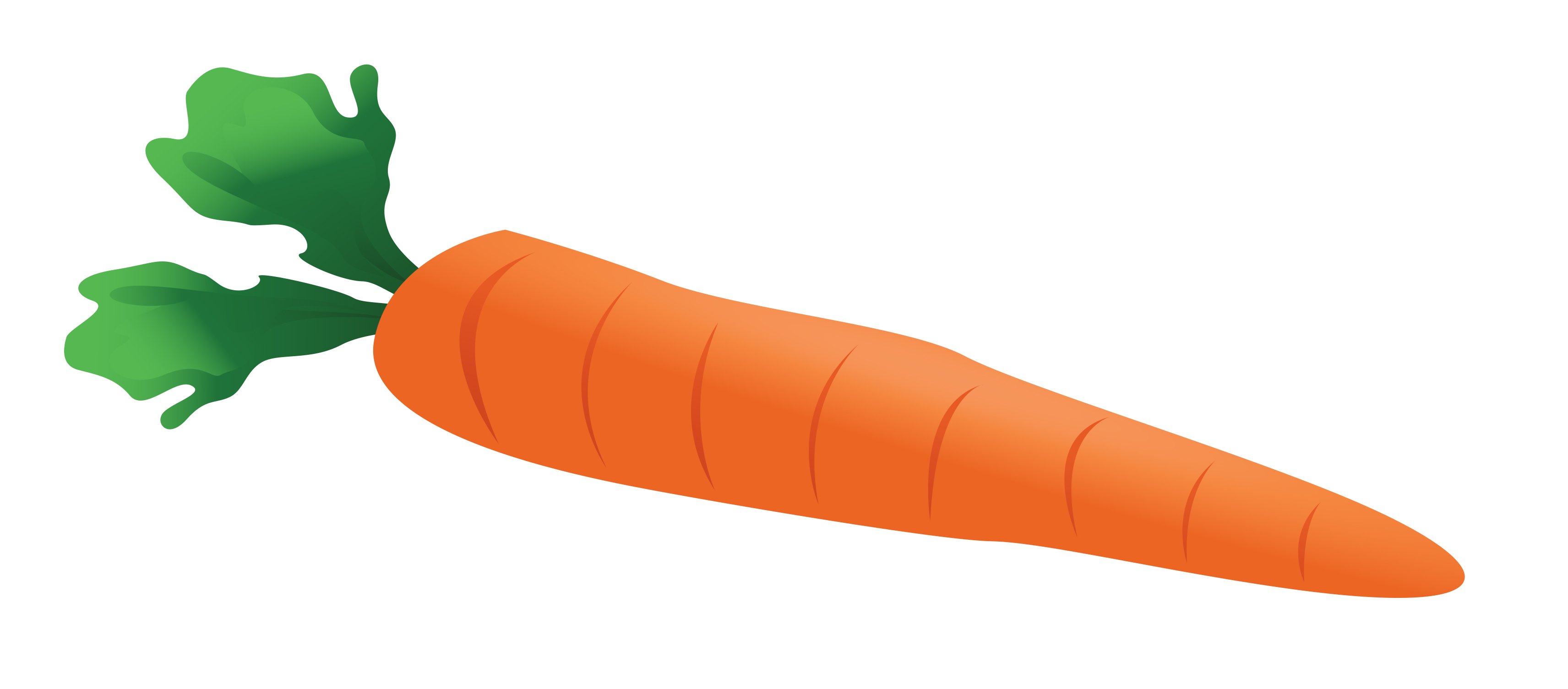 Orange carrot cliparts jpg 
