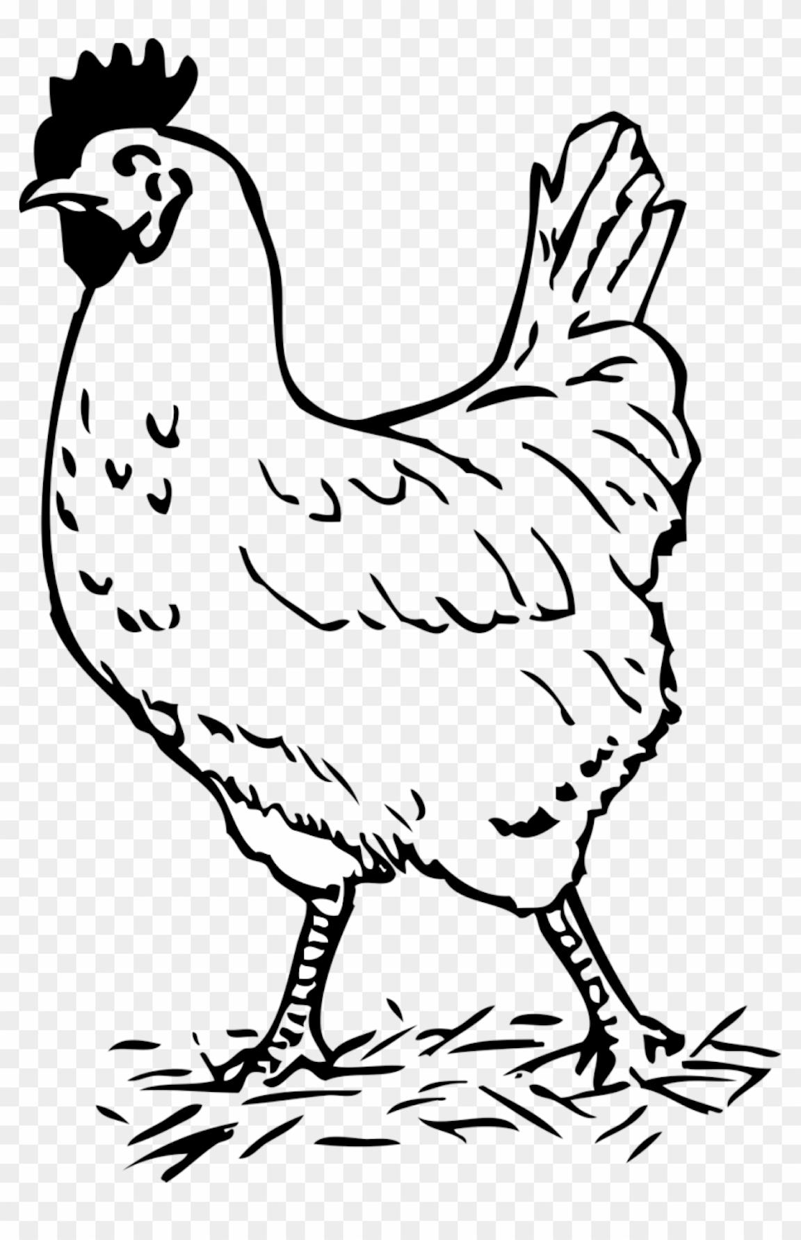 hen-black-and-white-clip-art-library