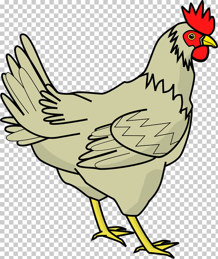 Chicken meat , Hen s PNG clipart | free cliparts 