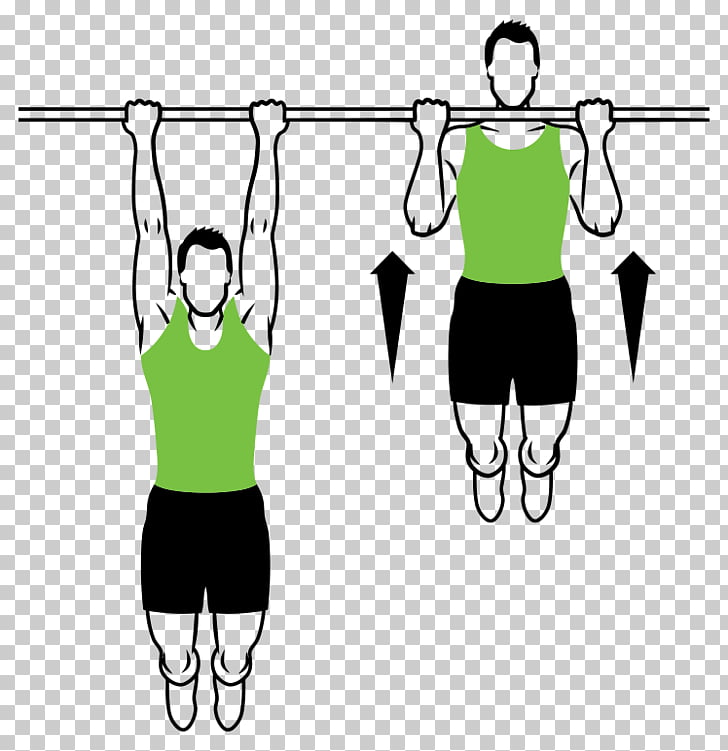 Chin-up Pull-up Exercise Muscle, dumbbell PNG clipart | free 