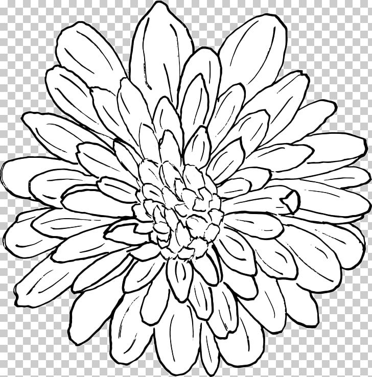 Free Chrysanthemum Cliparts, Download Free Chrysanthemum Cliparts png