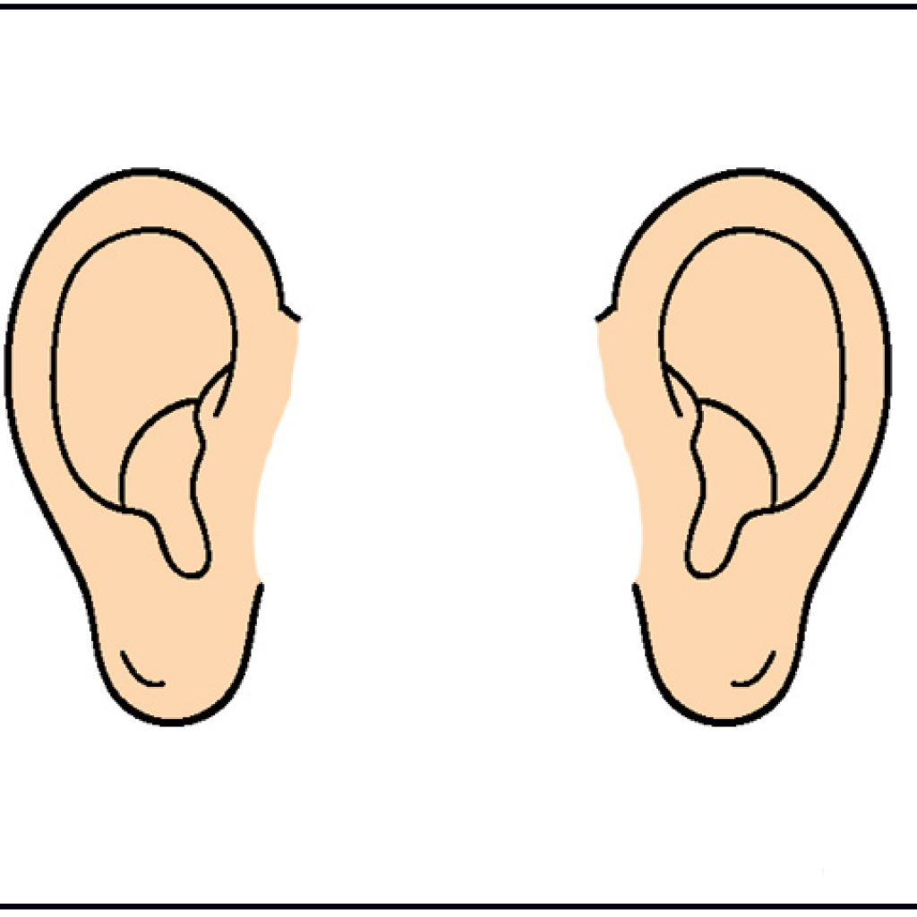 Clipart Ear  | Free download