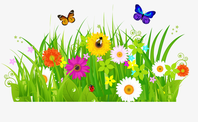 Clipart Of Flowers And Butterflies  | Free download