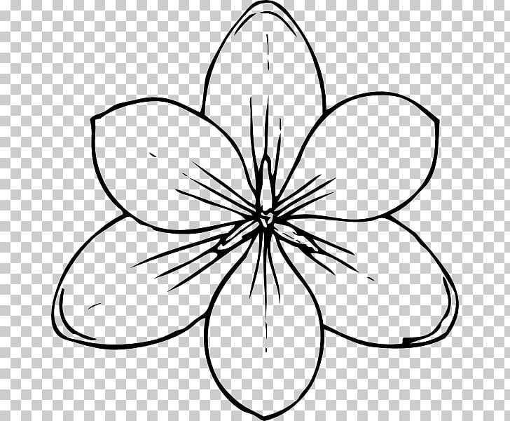 Coloring book Flower Child Southern magnolia, Tropical Line s PNG 