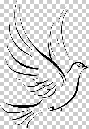 Columbidae Doves as symbols Drawing , funeral, black bird 