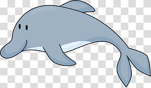 Fancy Dolphin Cliparts PNG clipart images free download 