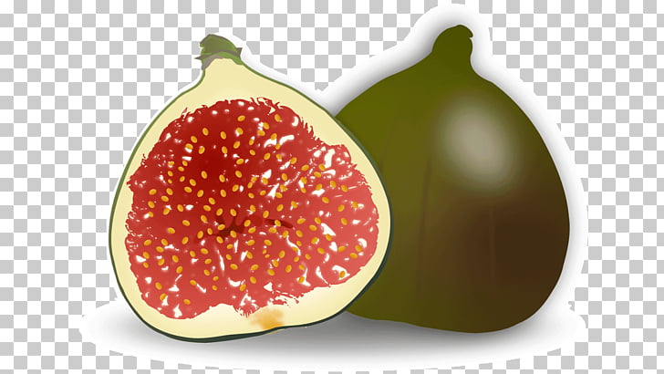 Common fig Accessory fruit , figs fruit PNG clipart | free 