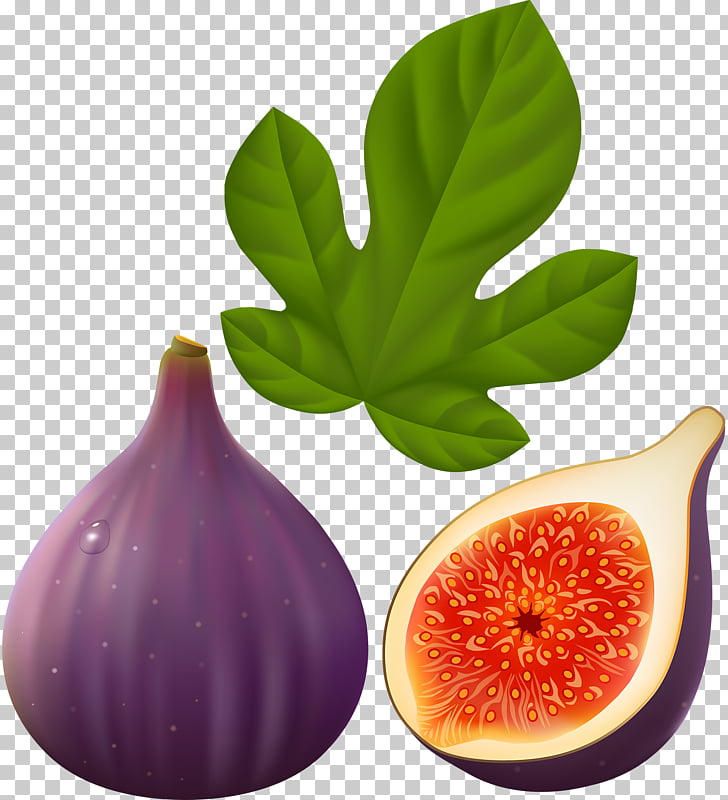 Common fig Fruit Fig leaf , fig fruit PNG clipart | free cliparts 