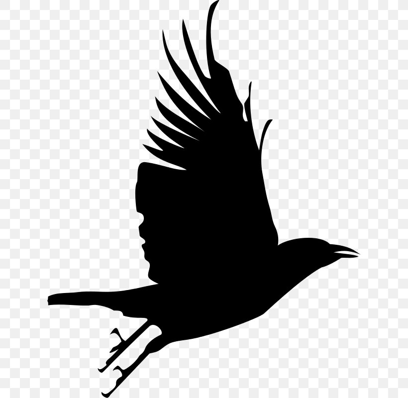 Common Raven Bird Silhouette Clip Art, PNG, Common 