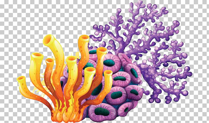 Coral reef , sea coral, yellow and purple corals PNG clipart 