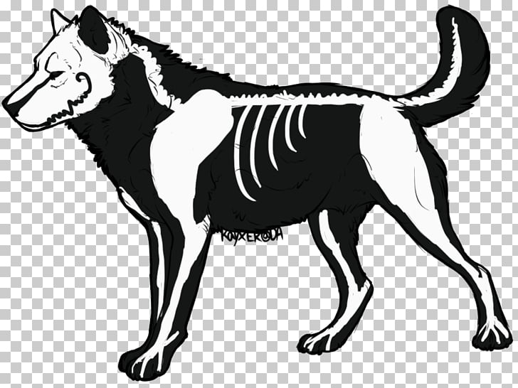 Dog Drawing Skeleton , Dog PNG clipart | free cliparts 