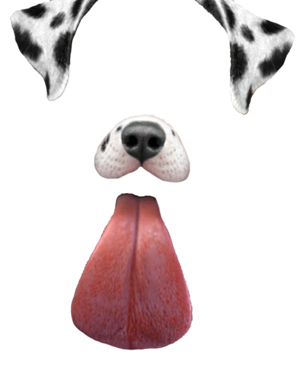 Dog Nose Dog Snout Clipart - Dog Clipart Animals Clip art