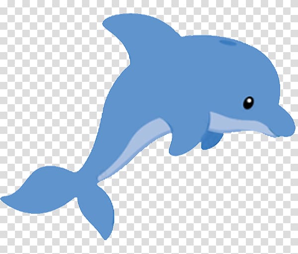 Dolphin Drawing , Baby Dolphin transparent background PNG clipart 