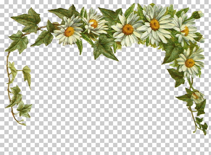 Flower , Vintage Daisy s PNG clipart | free cliparts 