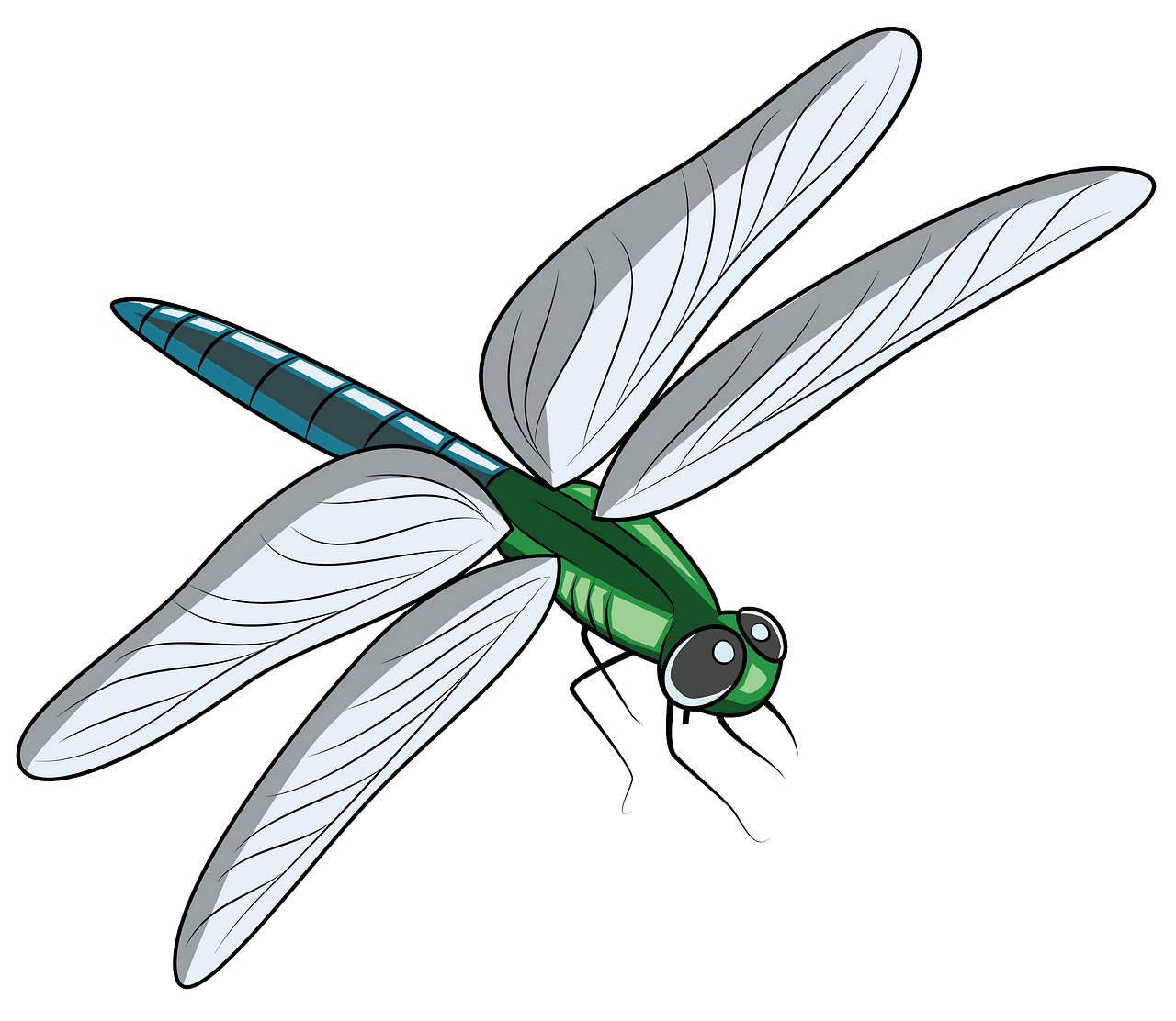clipart image of dragonfly - Clip Art Library