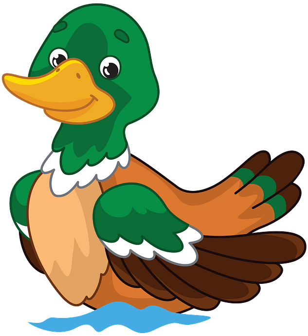 Mallard Duck clipart. Free download. 