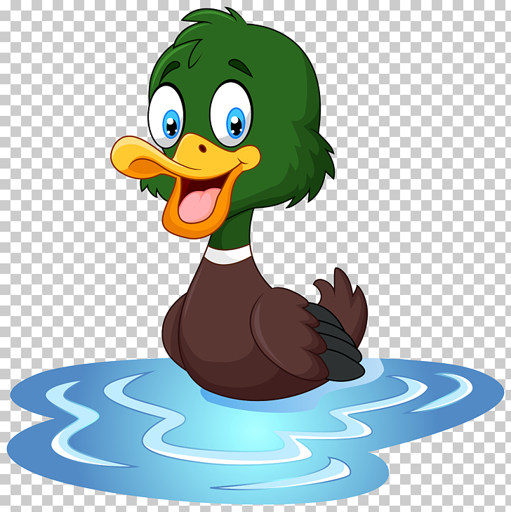 Duck T-shirt Cartoon Waterfowl Illustration, Duck , mallard duck 