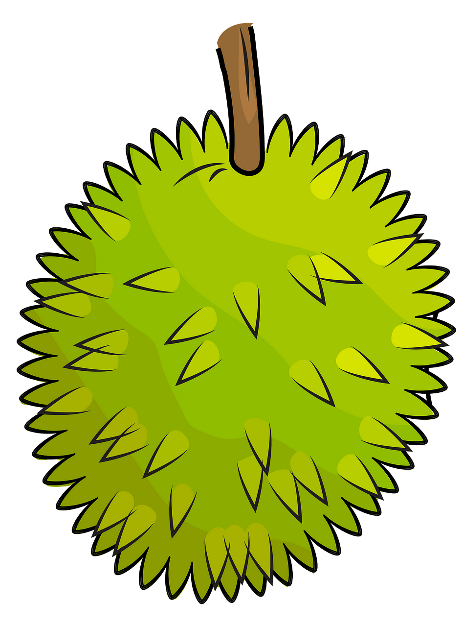 Free Durian Cliparts, Download Free Durian Cliparts png images, Free