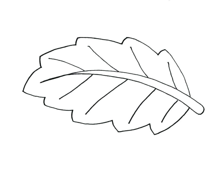 Fall Leaves Clip Art Black And White Autumn Free Various Leaf 
