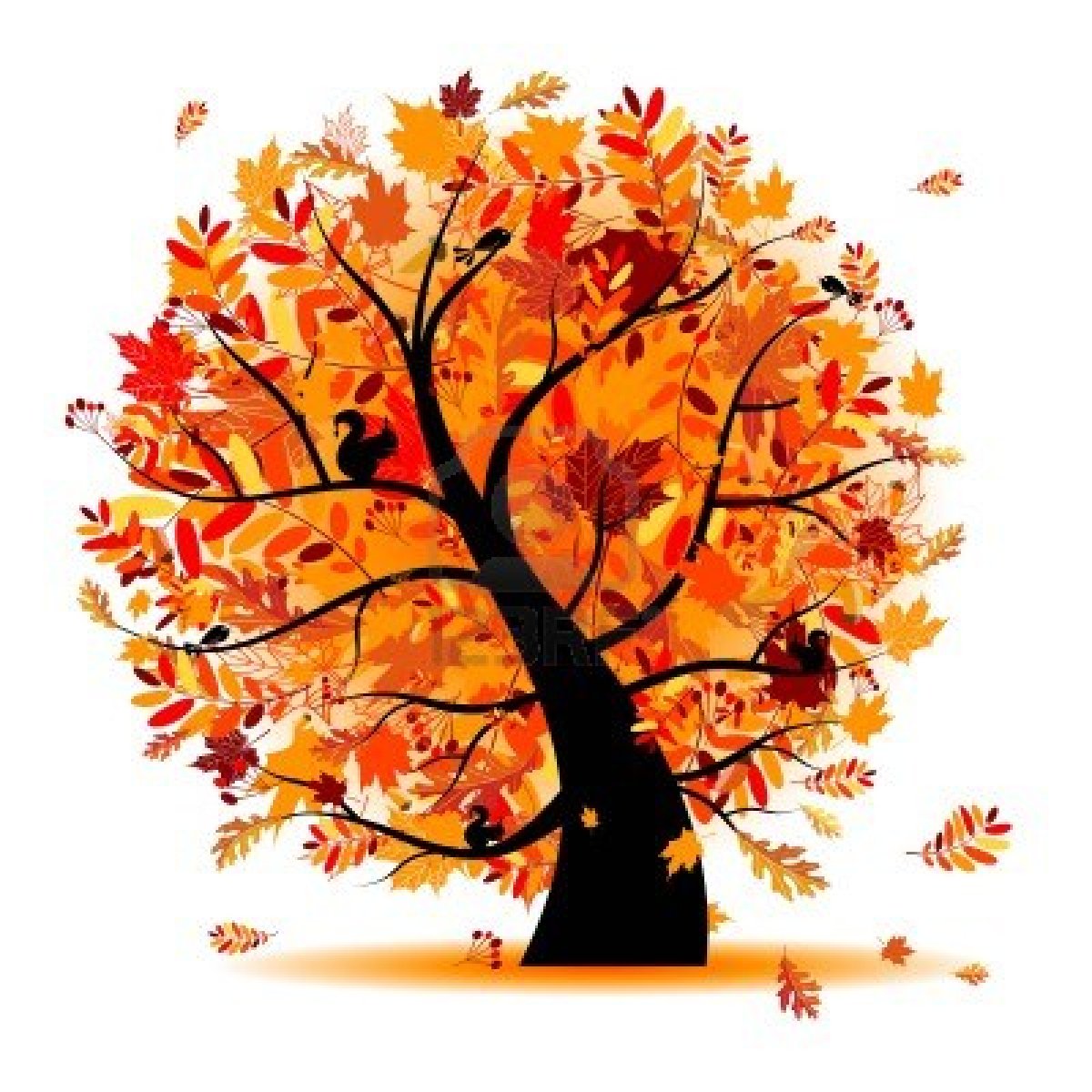 fall tree Fall from a tree clipart collection jpg 