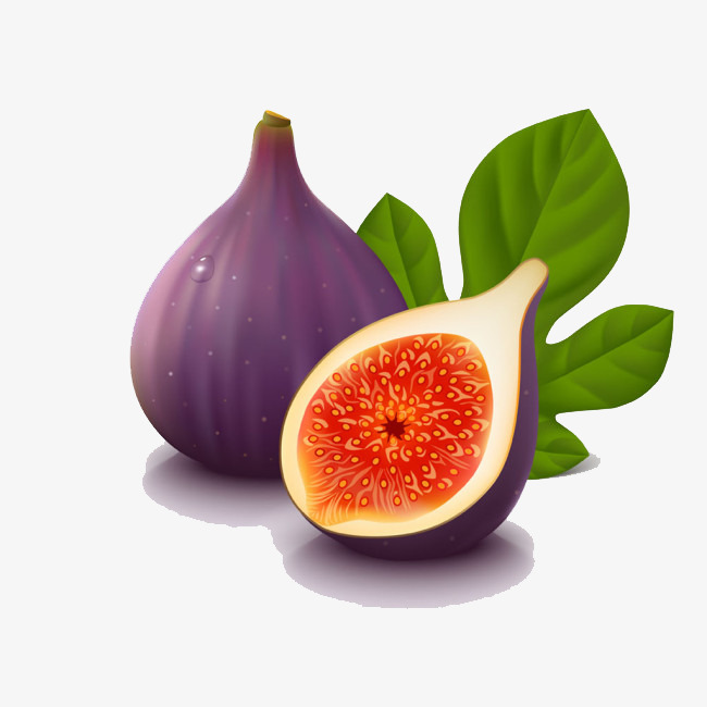 Fig Clipart  | Free download