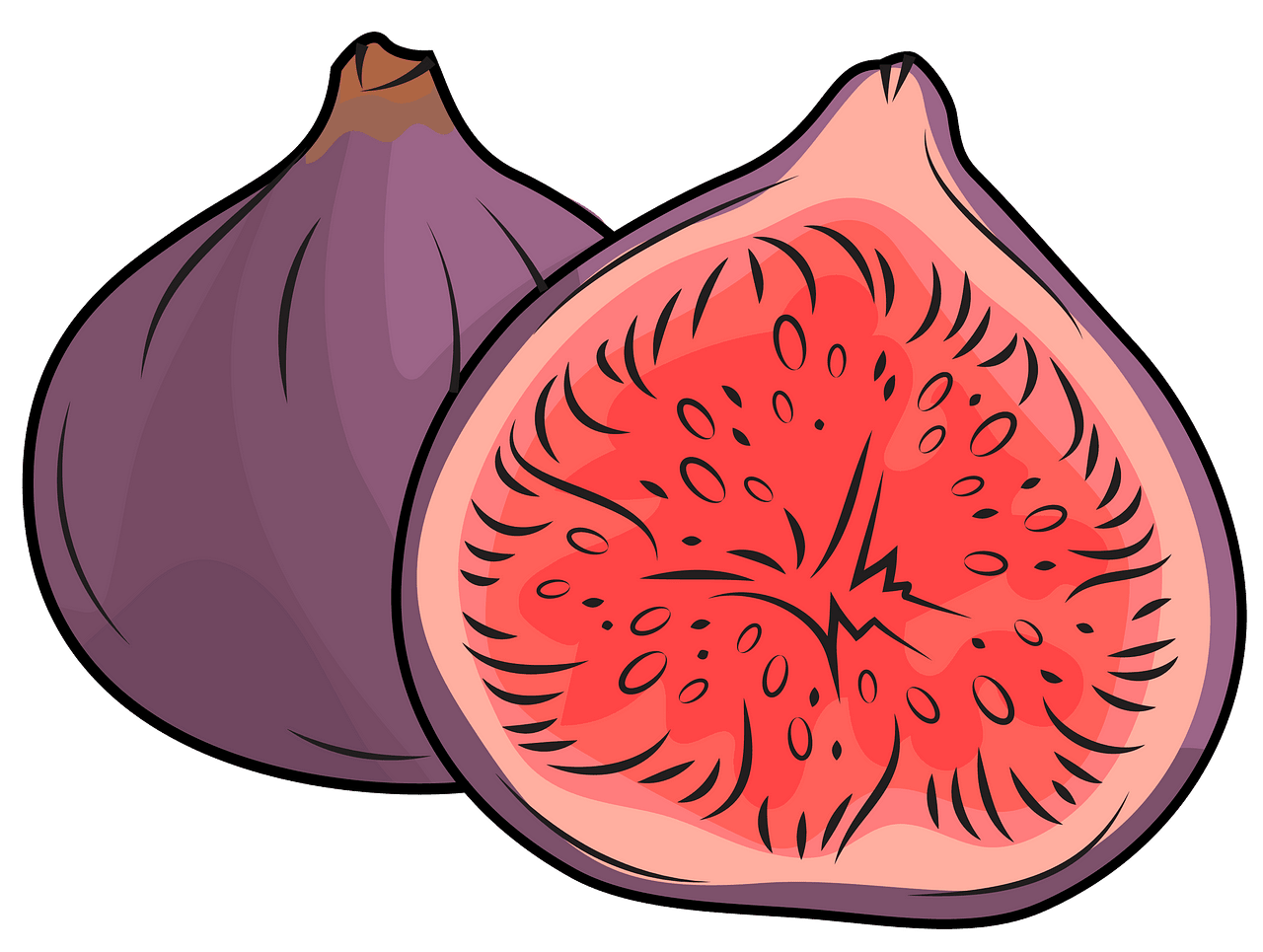 Figs clipart. Free download. 