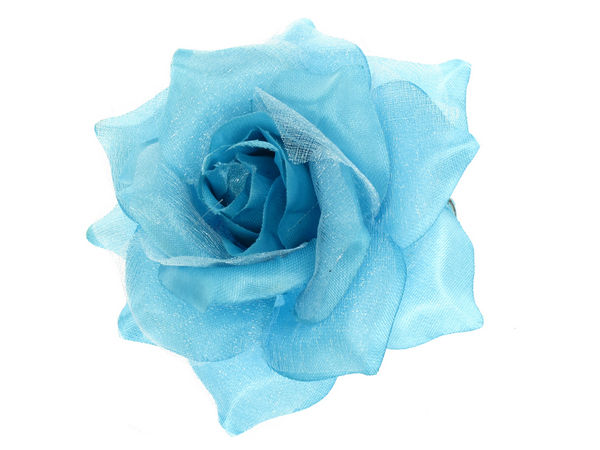 Blue Sparkly Flower Hair Clips - wide 9