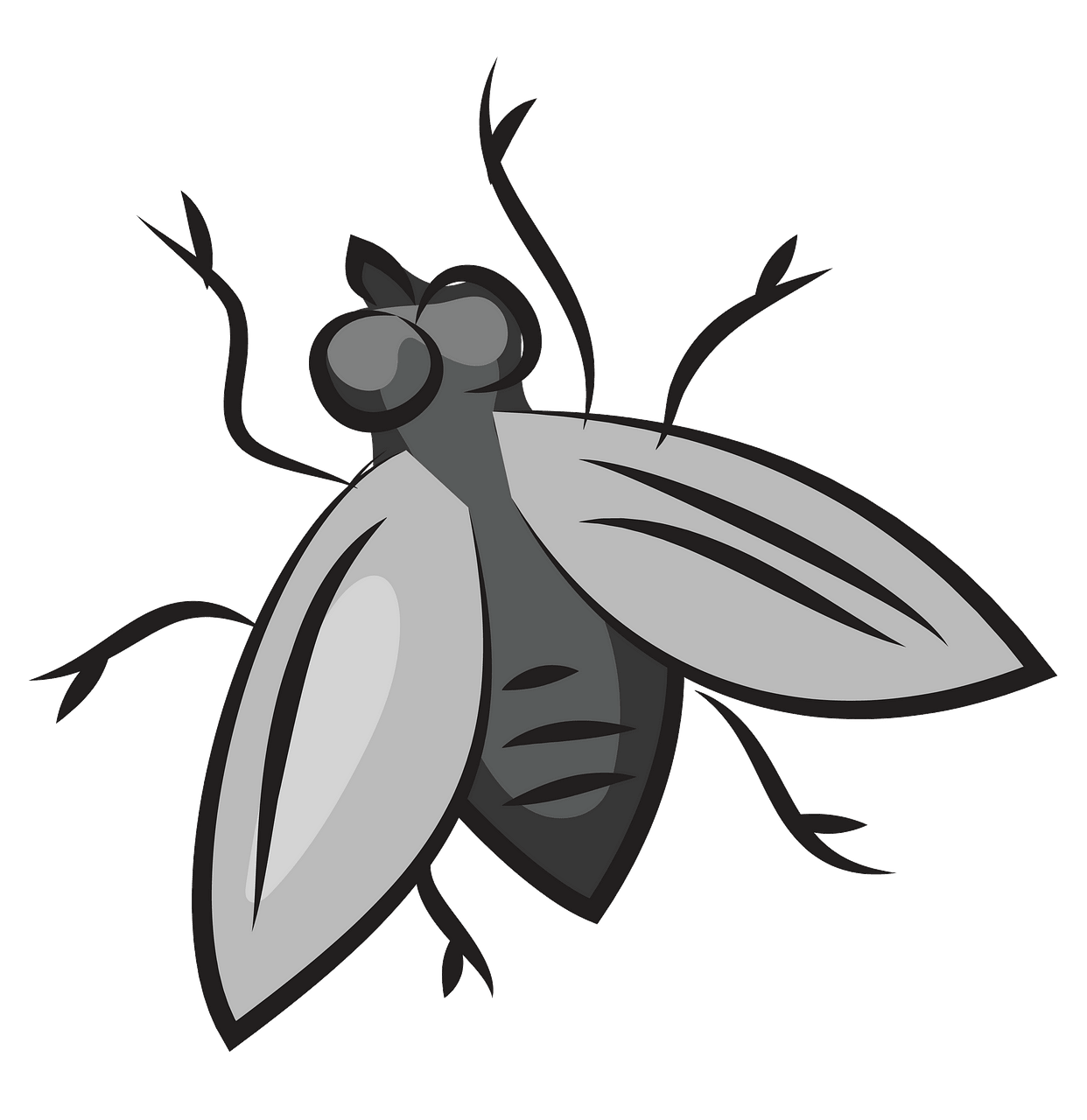 Fly clipart. Free download. 