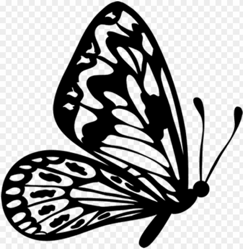 Butterfly Clipart Black And White Side - Side View Of Beautiful Monarch