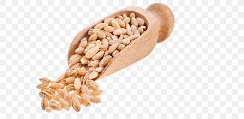 Grains Png Clip Art Library