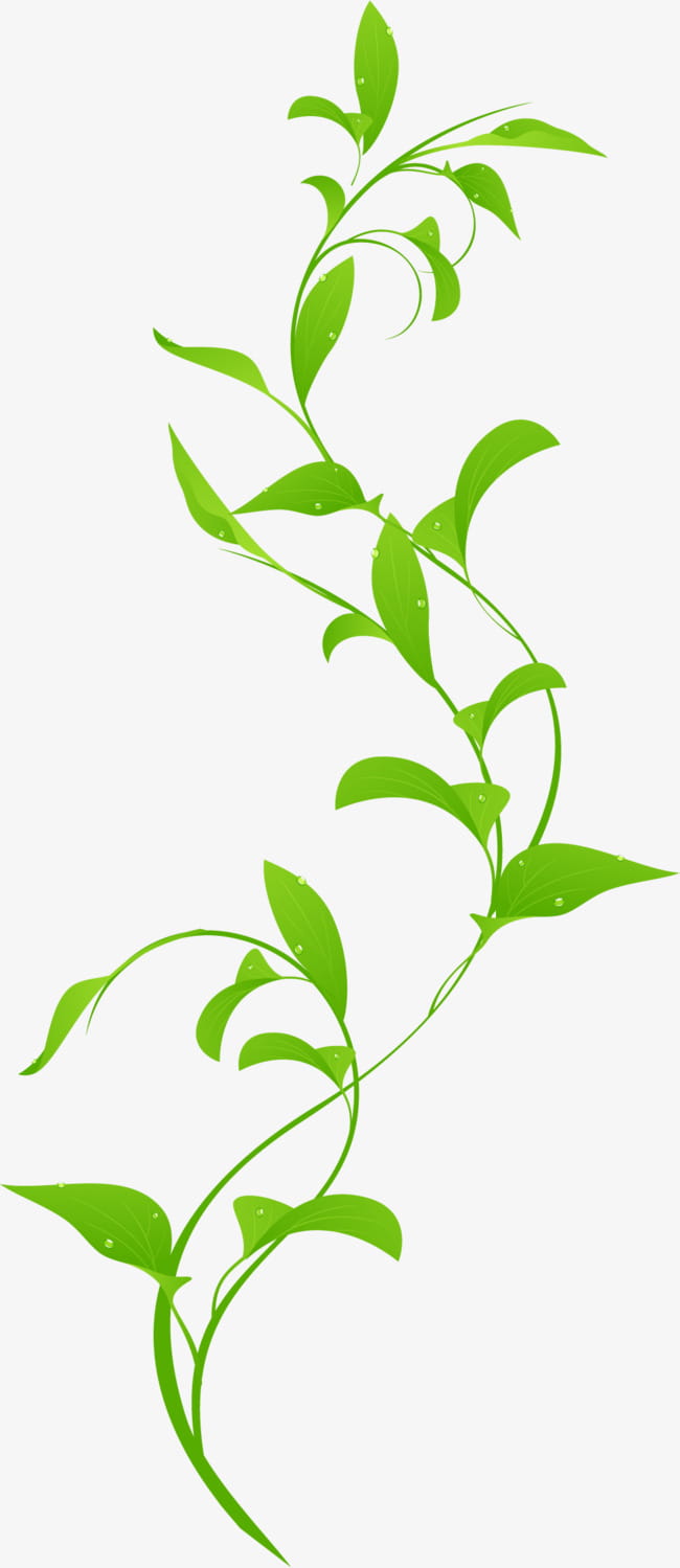 Free Green Vine Cliparts Download Free Green Vine Cliparts Png Images Free Cliparts On Clipart