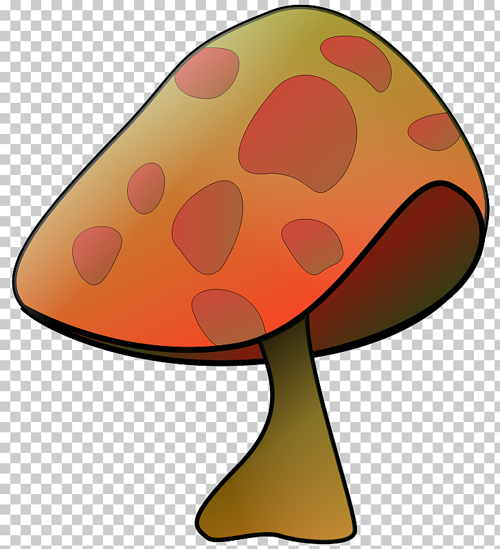 Fungus Mushroom , Toad Toadstool s PNG clipart | free cliparts 