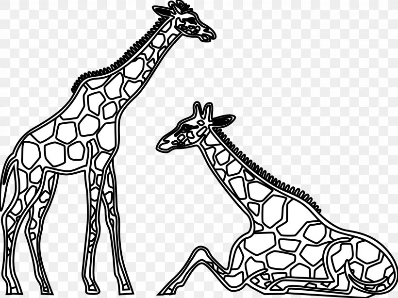 Giraffe Black And White Drawing Clip Art, PNG