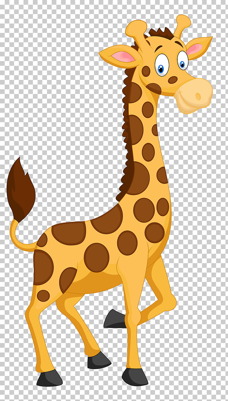 Giraffe , Funny giraffe PNG clipart | free cliparts 