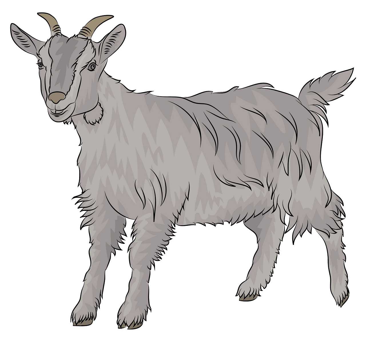Goat clipart. Free download. 
