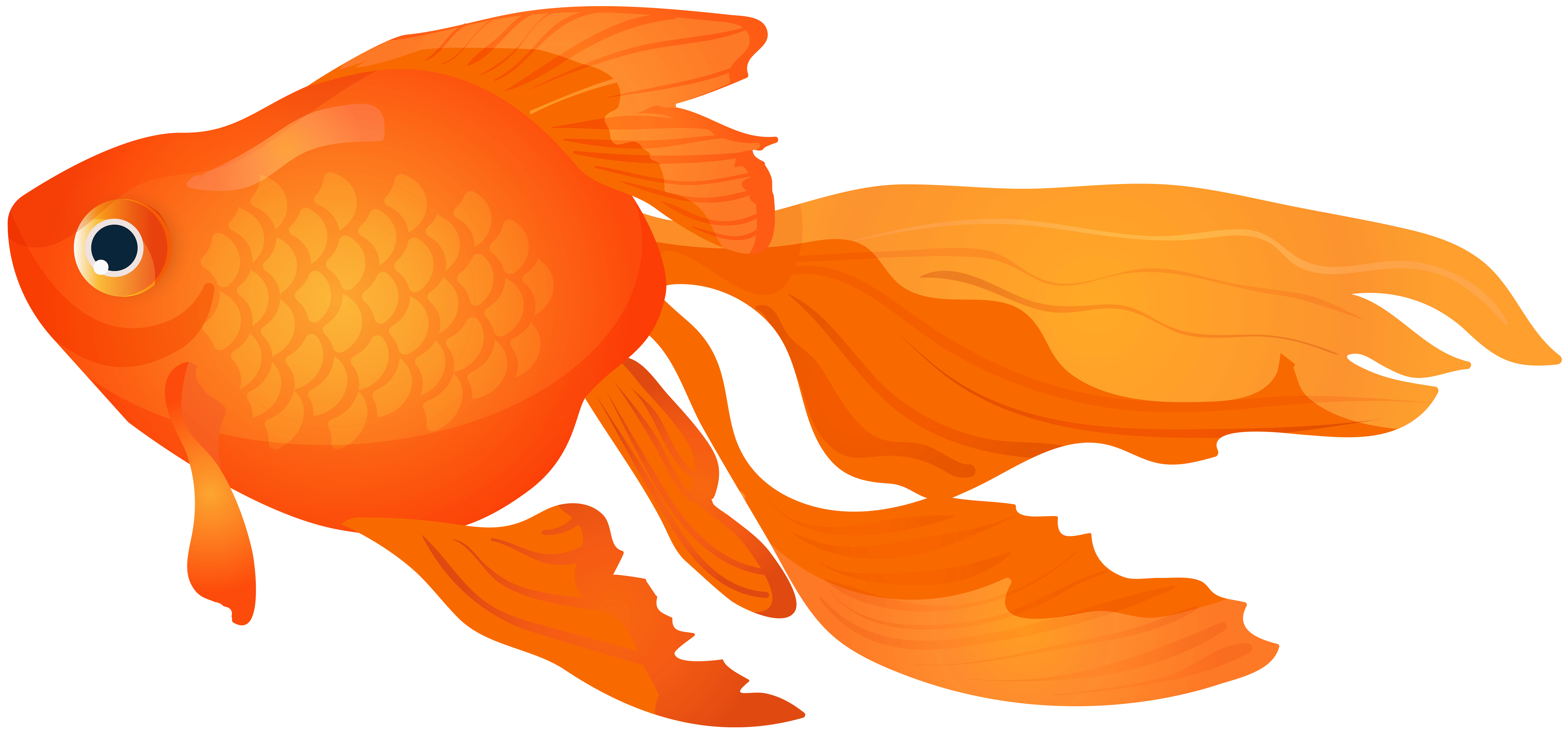Goldfish Clipart  | Free download