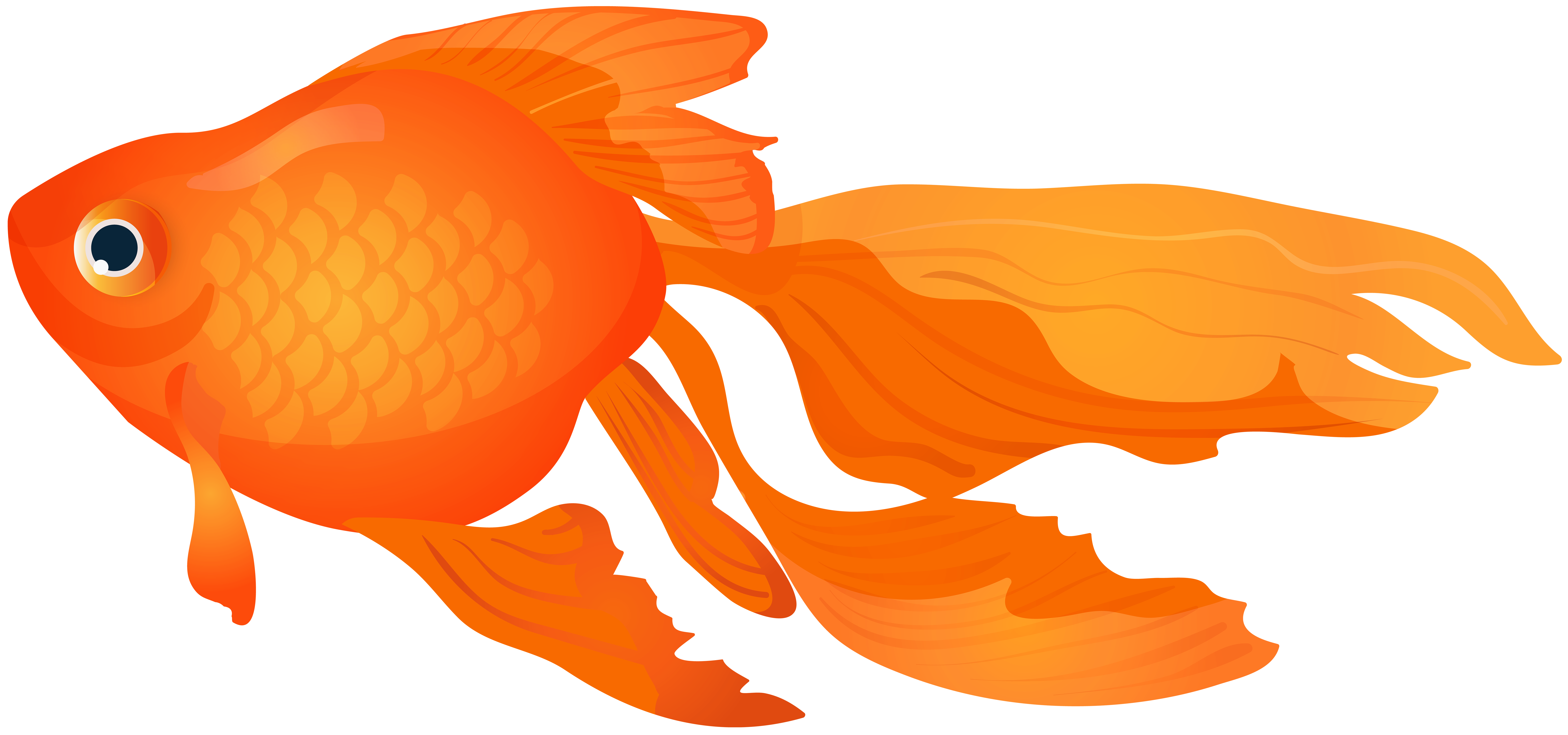 Free Goldfish Cliparts, Download Free Goldfish Cliparts png images