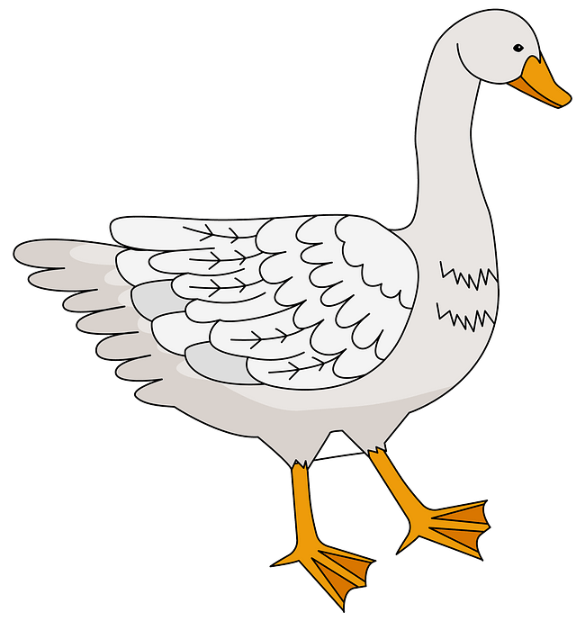 Goose clipart. Free download. 