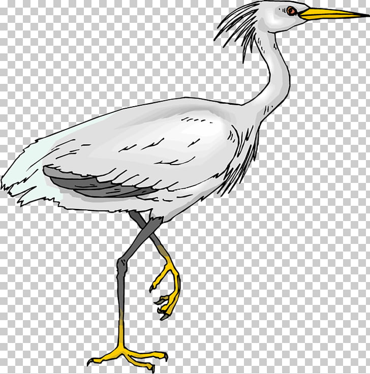Green heron Bird Egret , Heron PNG clipart | free cliparts 