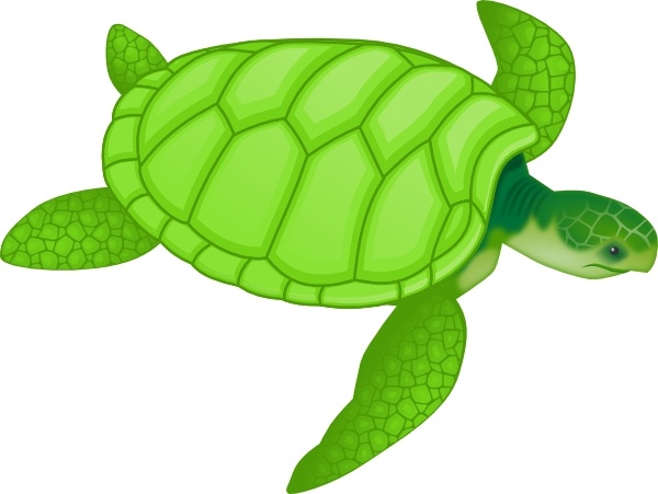 Green Sea Turtle clip art Free vector in Open office drawing svg 
