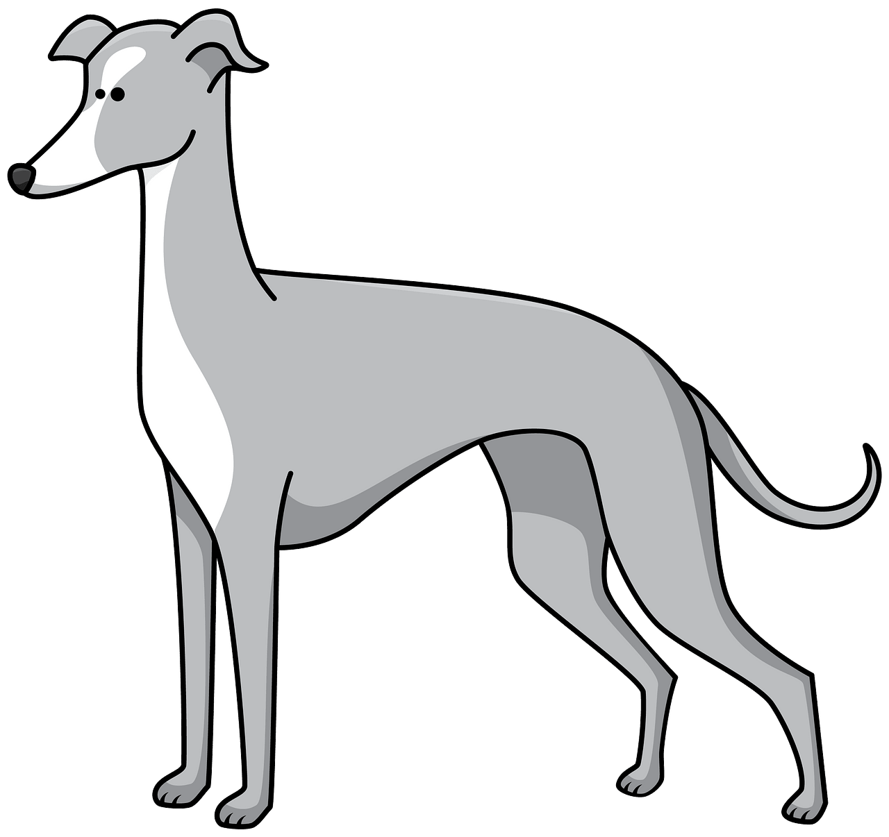 cartoon greyhound - Clip Art Library