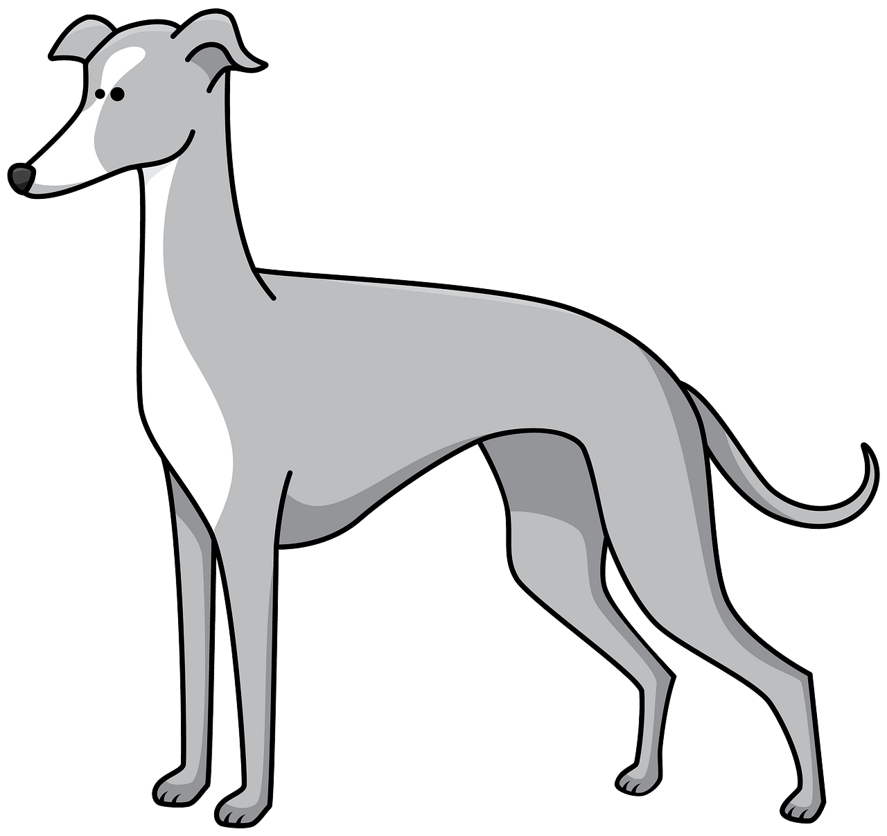 Free Greyhound Clipart, Download Free Greyhound Clipart png images