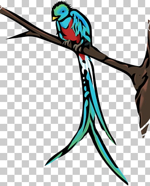 4 cute Quetzal Cliparts PNG cliparts for free download 