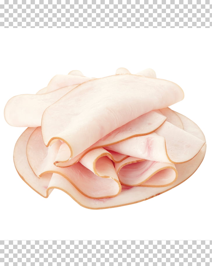 Sliced Turkey Clip Art Library